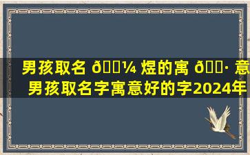 男孩取名 🌼 煜的寓 🌷 意（男孩取名字寓意好的字2024年属龙）